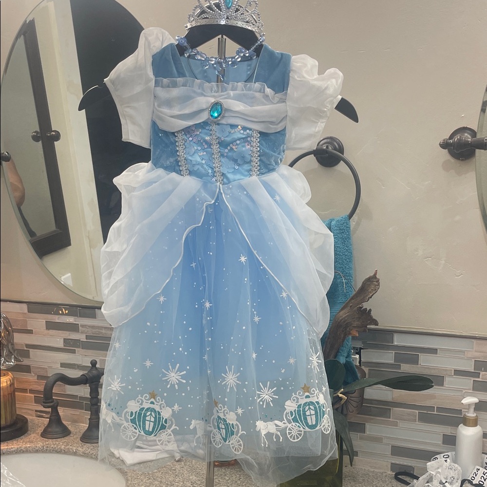 Cinderella costume